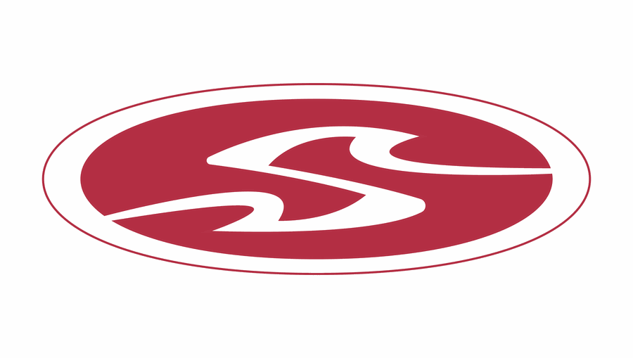SOUL co. logo work 2