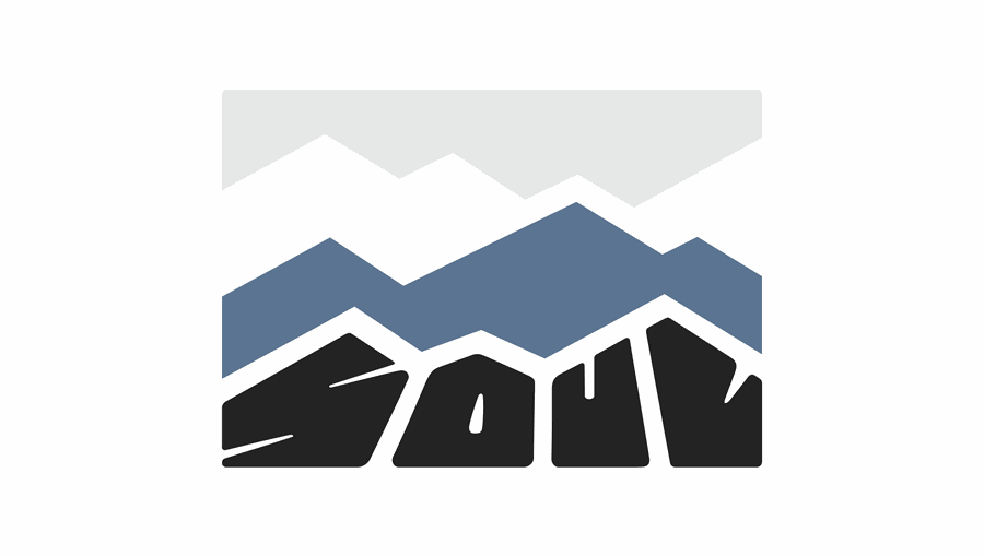 SOUL co. logo work 9