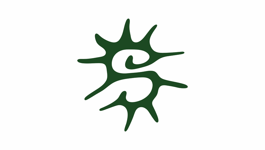 SOUL co. logo work 10